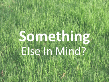 Something Else in Mind