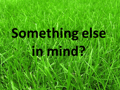 Something Else in Mind?